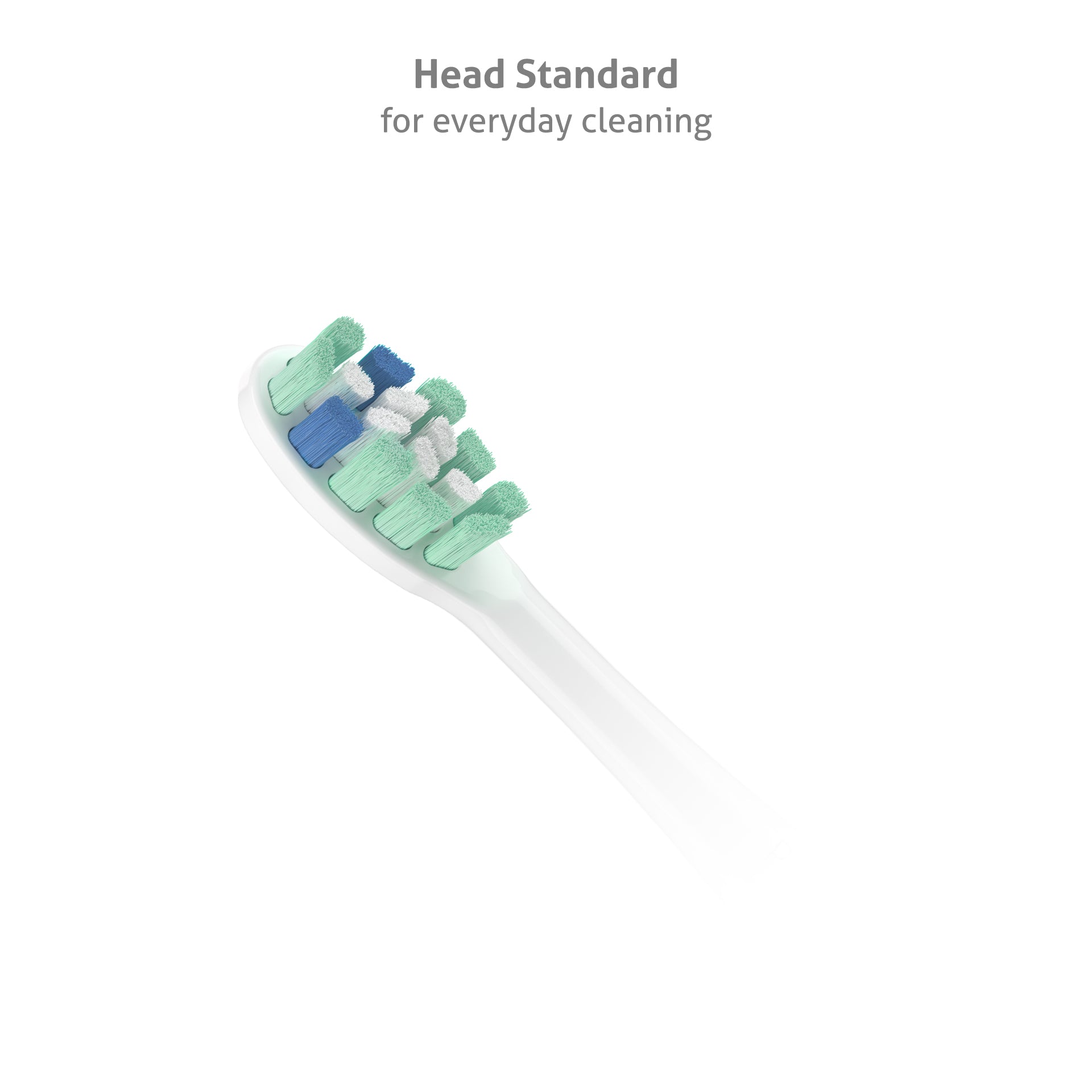 TrueLife_SonicBrush_Clean70-UV_listing-photo-02_EN