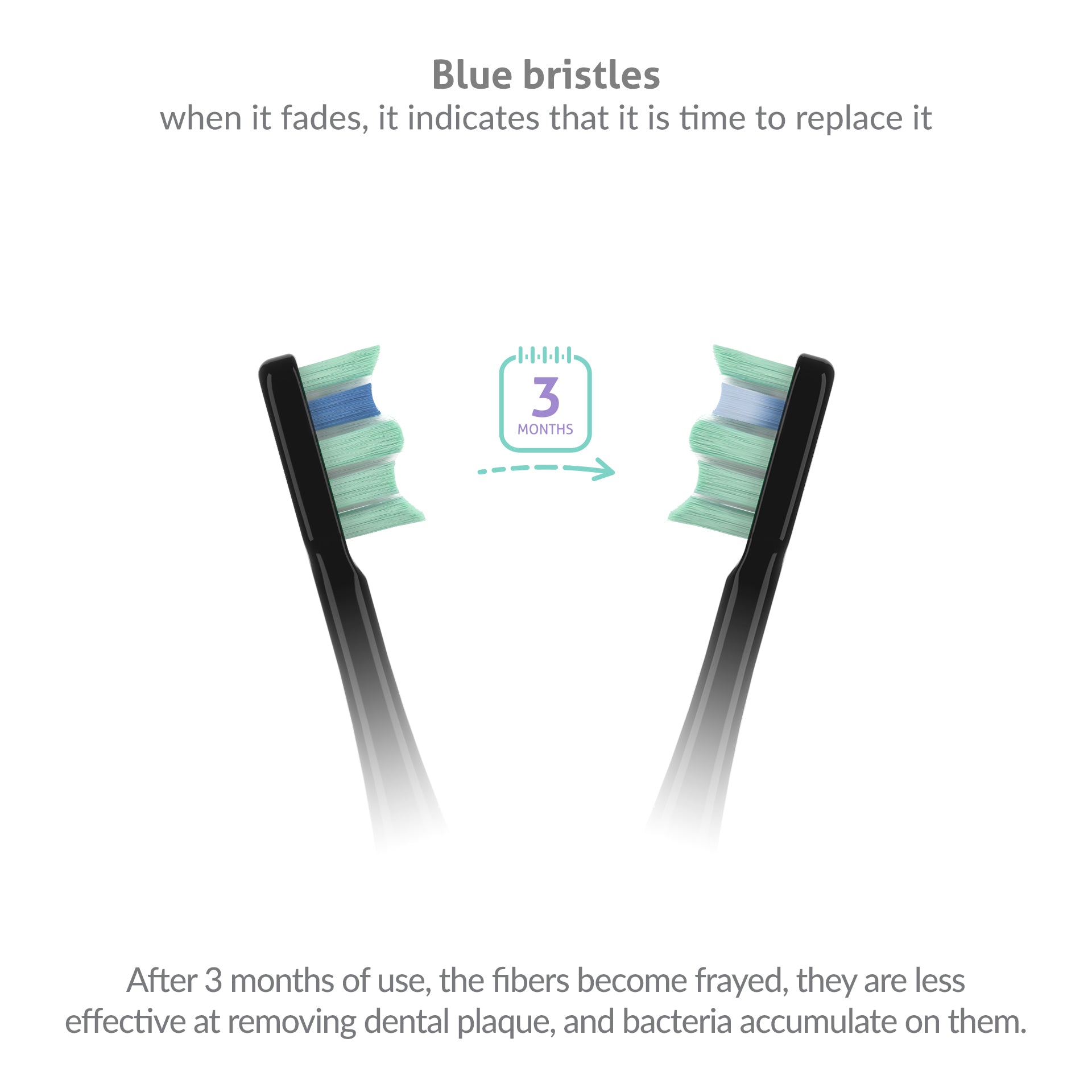TrueLife_SonicBrush_Clean70-UV_listing-photo-03_EN