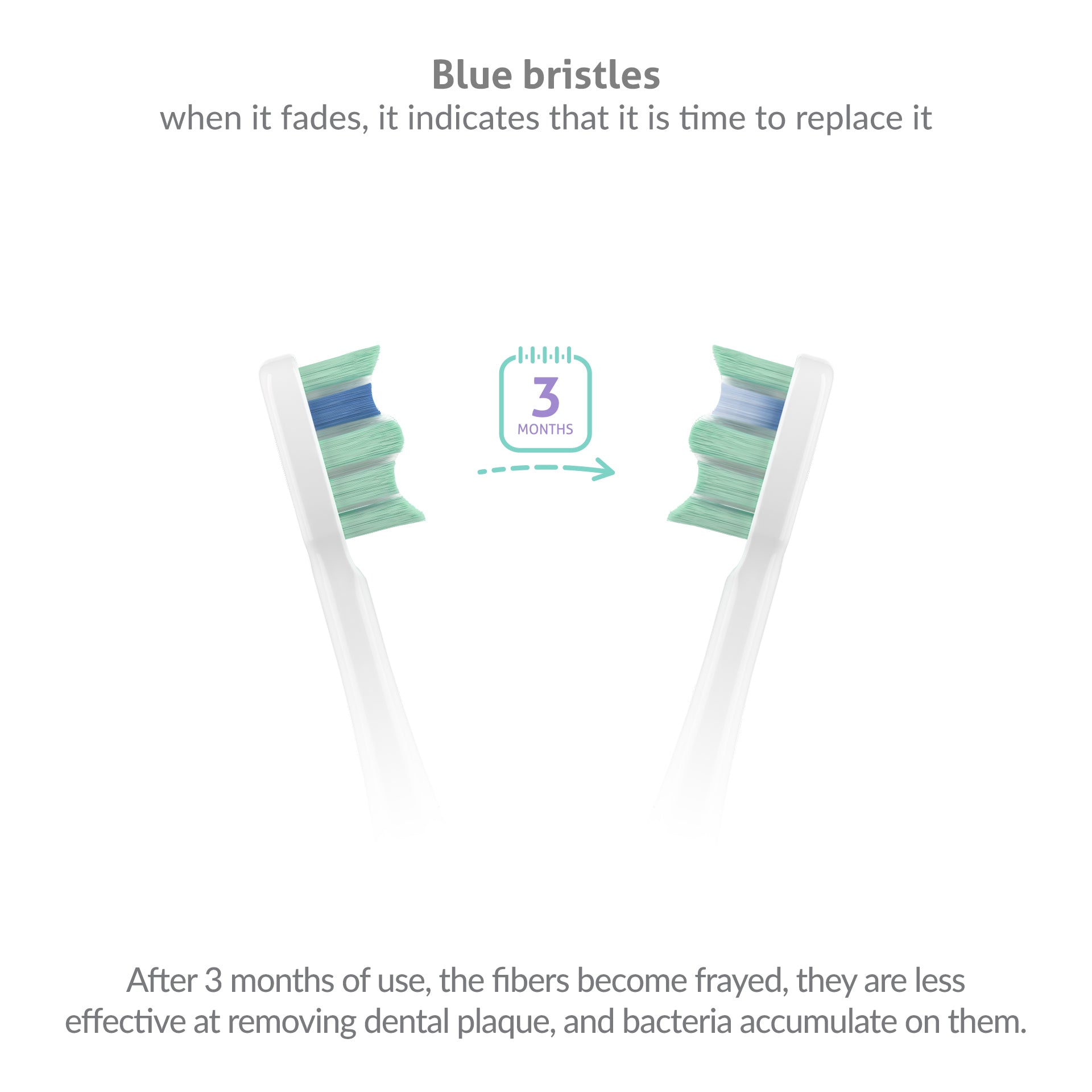 TrueLife_SonicBrush_Clean70-UV_listing-photo-03_EN